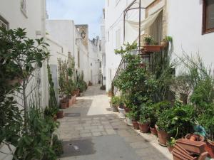 an alley with potted plants on the side of a building at Vicolo Fiorito B&B in Polignano a Mare