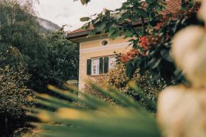 Zahrada ubytování Villa Arnica