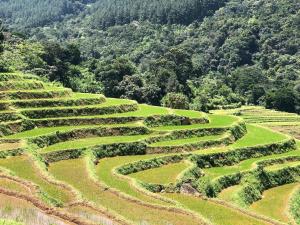 Paisagem natural perto do alojamento de turismo selvagem