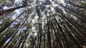 Paisagem natural perto do alojamento de turismo selvagem