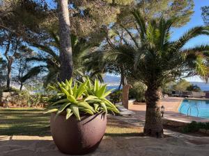 Bazén v ubytování Villa Colina Ibiza nebo v jeho okolí