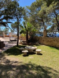 Zahrada ubytování Villa Colina Ibiza