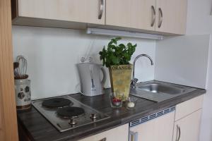Küche/Küchenzeile in der Unterkunft Gästehaus Glaubenstein