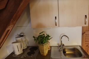 Küche/Küchenzeile in der Unterkunft Gästehaus Glaubenstein