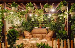 Φωτογραφία από το άλμπουμ του Nestay σε Karnāla