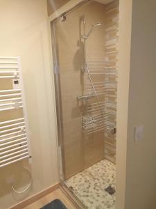 a shower with a glass door in a bathroom at Gîte de la marmotte in Chevaline +6 photos