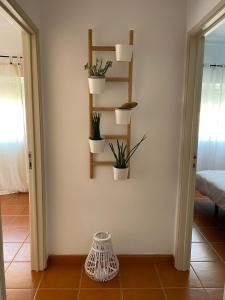 Gallery image of Apartamento Vicentino in Vila Nova de Milfontes