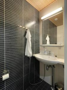 a bathroom with a sink and a shower at Spa Chalet Erica in Virasoja +18 photos