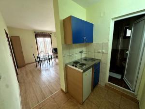 Kuchyň nebo kuchyňský kout v ubytování Guesthouse Apartments