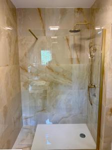 a shower with a glass door in a bathroom at Villa Lungomare-Large Waterfront Apartment -Lungomare Promenade 6 in Cres +96 photos