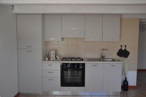 Kuchyň nebo kuchyňský kout v ubytování ENDLESS SUMMER APARTMENTS