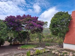 Um jardim em Chalé dos Campos