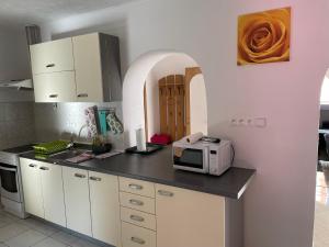 a kitchen with a counter top with a microwave at Apartmán Marta in Banka
