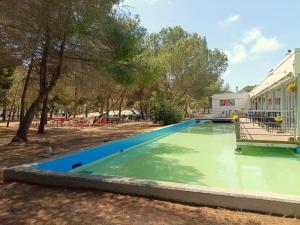 a swimming pool with green water in a park at Pine Horizon Family in Grao de Castellón