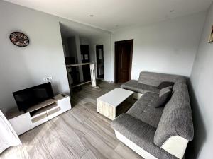 TV a/nebo společenská místnost v ubytování Guesthouse Apartments