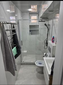 a bathroom with a shower and a toilet and a sink at Lux house in Bălţi