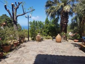 two large vases sitting on a patio with palm trees at SPITIKARIOTIKO Garden home in Mesochórion