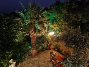 an overhead view of a palm tree and a street light at SPITIKARIOTIKO Garden home in Mesochórion +4 photos