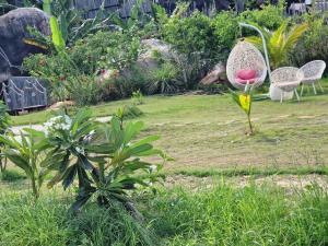 Zahrada ubytování Butterfly Rose Beach Resort Phú Quốc Francophone