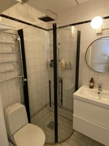 Un baño con ducha, inodoro y lavabo. en Apartment in So-Fo at Södermalm 24sqm, en Estocolmo 6 fotos más