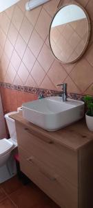 a bathroom with a sink and a mirror and a toilet at Las Vistas Apartament in La Rambla