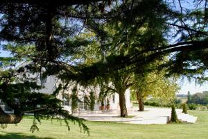 a group of trees in front of a building at Domaine De Bonaveau - Privatisation Spa et Piscine in Barcelonne