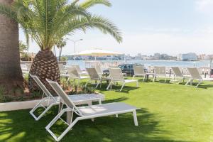 a group of lawn chairs and a palm tree at Roc Portonova Apartaments in Palmanova +58 photos