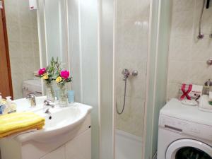 un bagno con lavandino e lavatrice di Apartments in Karlobag - Velebit Riviera 17083 a Karlobag (Carlopago)