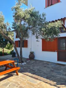a picnic table and a tree in front of a building at SPITIKARIOTIKO Garden home in Mesochórion