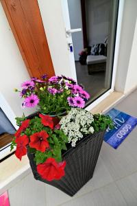 Fotografie z fotogalerie ubytování Kalamata Suites v destinaci Kalamata