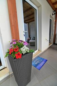Zahrada ubytování Kalamata Suites