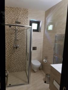 a bathroom with a shower and a toilet in it at VILA DOBRU in Slănic-Moldova +14 photos