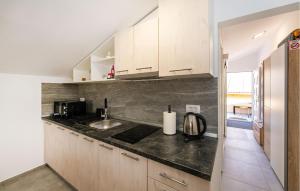 Η κουζίνα ή μικρή κουζίνα στο Awesome Apartment In Gornji Karin