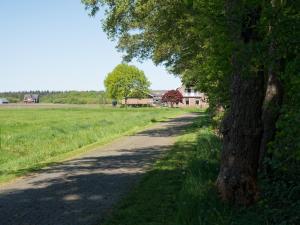 a tree lined road with a house in the distance at Hof van Eese - Rust, Ruimte en Landelijk Genieten in Eesveen