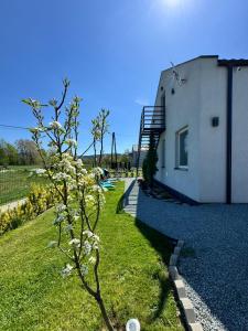 Κήπος έξω από το Apartament na Polnych Domach