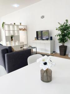 TV a/nebo společenská místnost v ubytování Machico flat center near beach w parking