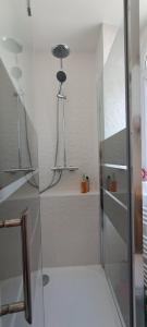 ショレにあるStudio NOTRE-DAME 2 coeur de villeのガラスドア付きのシャワー付きのバスルーム