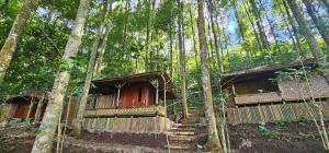 a couple of bamboo houses in the woods at Rasamala Camp in Pengalongan