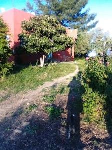 Κήπος έξω από το Camping Panorama 900