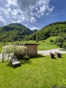 Príroda v okolí apartmánu