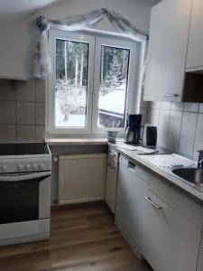 Kuchyňa alebo kuchynka v ubytovaní Apartments Egger Barbara