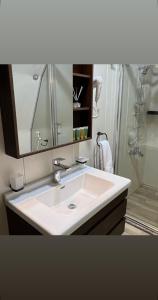 a bathroom with a white sink and a shower at Madar Camp, Wadi Rum in Wadi Rum
