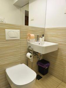 ein Badezimmer mit Toilette und Waschbecken in der Unterkunft Studio Ljubljana in Ljubljana