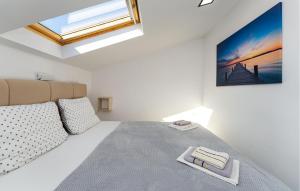 Ένα ή περισσότερα κρεβάτια σε δωμάτιο στο Awesome Apartment In Gornji Karin