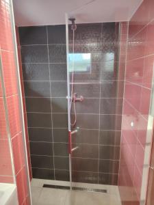 Koupelna v ubytování Apartmán LUKA 3
