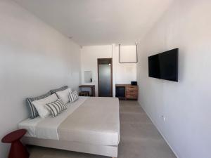 TV a/nebo společenská místnost v ubytování Athera Suites Mykonos