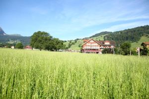 un campo de hierba alta frente a un edificio en Landgasthof Grossteil, en Giswil