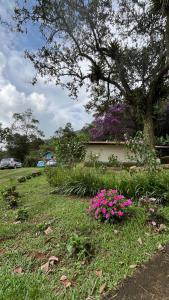 Zahrada ubytování Pousada Camping e Restaurante Vila dos Arcanjos