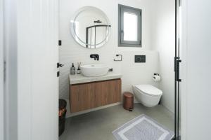 a bathroom with a sink and a mirror and a toilet at MONOPATI Apartments in Mouzákion +12 photos