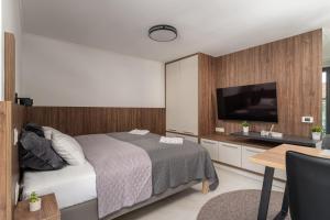 Televízia a/alebo spoločenská miestnosť v ubytovaní Balaton Flow Residence
